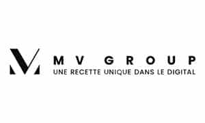 logo MVgroupe